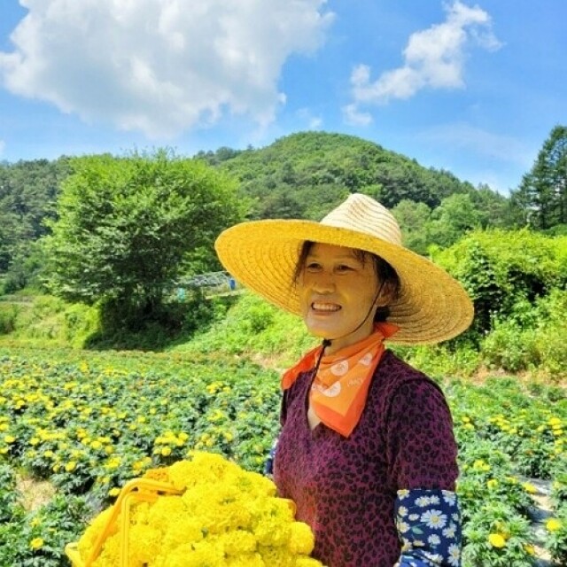 꽃차시대,꽃차시대 메리골드 꽃잎차 팩